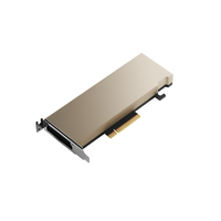 PNY NVIDIA A2 - Processeur GPU - A2 - 16 Go GDDR6