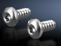 Rittal Vis autotaraudeuses hexalobulaires Type 5.5, 13 mm, 300 pièces (2486600)