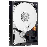 WD AV-GP 500 Go - Disque dur SATA 3,5" pour applications audiovisuelles