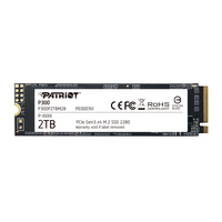 Patriot P300 - SSD - 2 TB - M.2 2280 - P300P2TBM28