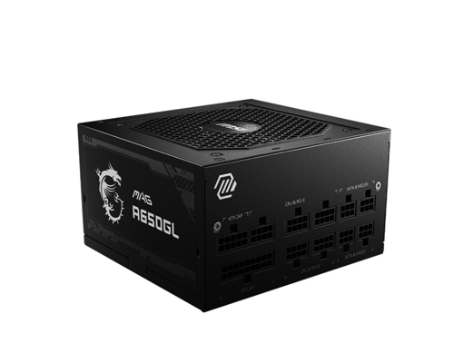 MSI MAG A650GL PSU 650W - Adaptateur secteur - ATX