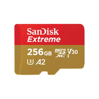 SanDisk Extreme 256GB MicroSDXC-kort - SDSQXAV-256G-GN6GN