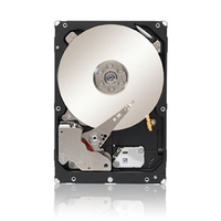 Seagate Constellation ES Hårddisk 500GB SATA 3GB/S 7,2K - ST3500514NS