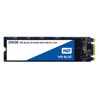 WD Blue 3D NAND SATA SSD 250 GB - WDS250G2B0B