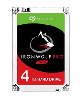 Seagate - IronWolf Pro ST4000NE001 - Hårddisk - 4 TB - ST4000NE001