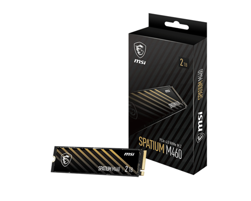 MSI SPATIUM M460 1 To