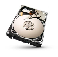 Seagate Constellation.2 - 2.5" - 1 TB - 7200 RPM