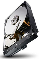 Seagate Constellation Hårddisk 1TB SATA 6GB/S 7.2K 64MB 3.5" - ST1000NM0011