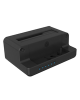 Station d'accueil M.2/SATA ICY BOX IB-2914MSCL-C31