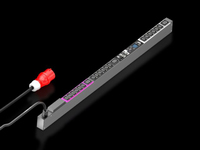 Rittal PDU Basic Kraftfördelning managed 16A/3P CEE 18xC13+ 3xC19 - 7979435