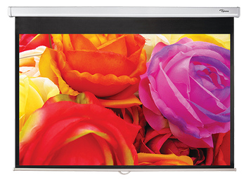 Écran Optoma DS-1123PMG+ 123 pouces
