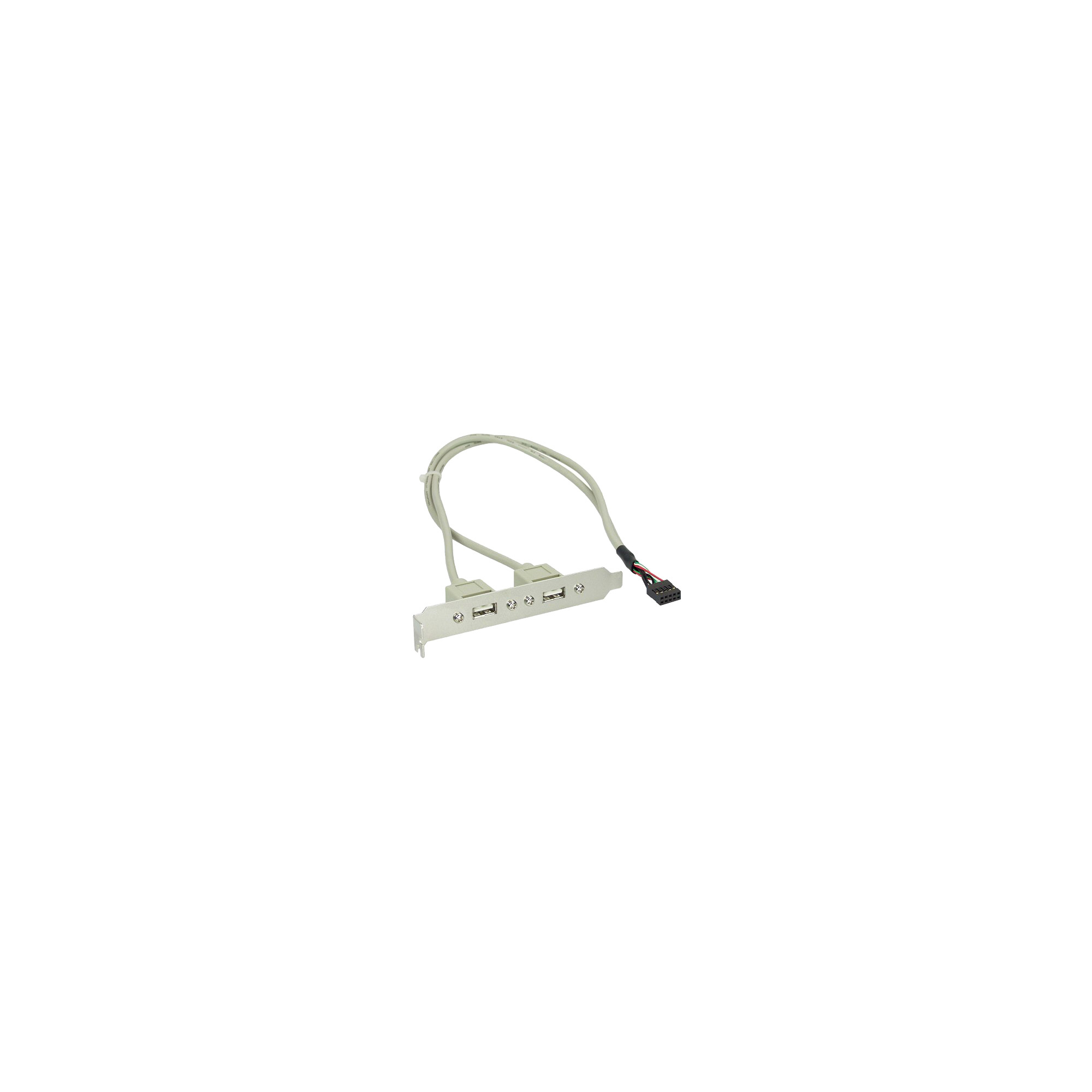 Support de port USB 2.0 double 10 broches en ligne 0,35 m