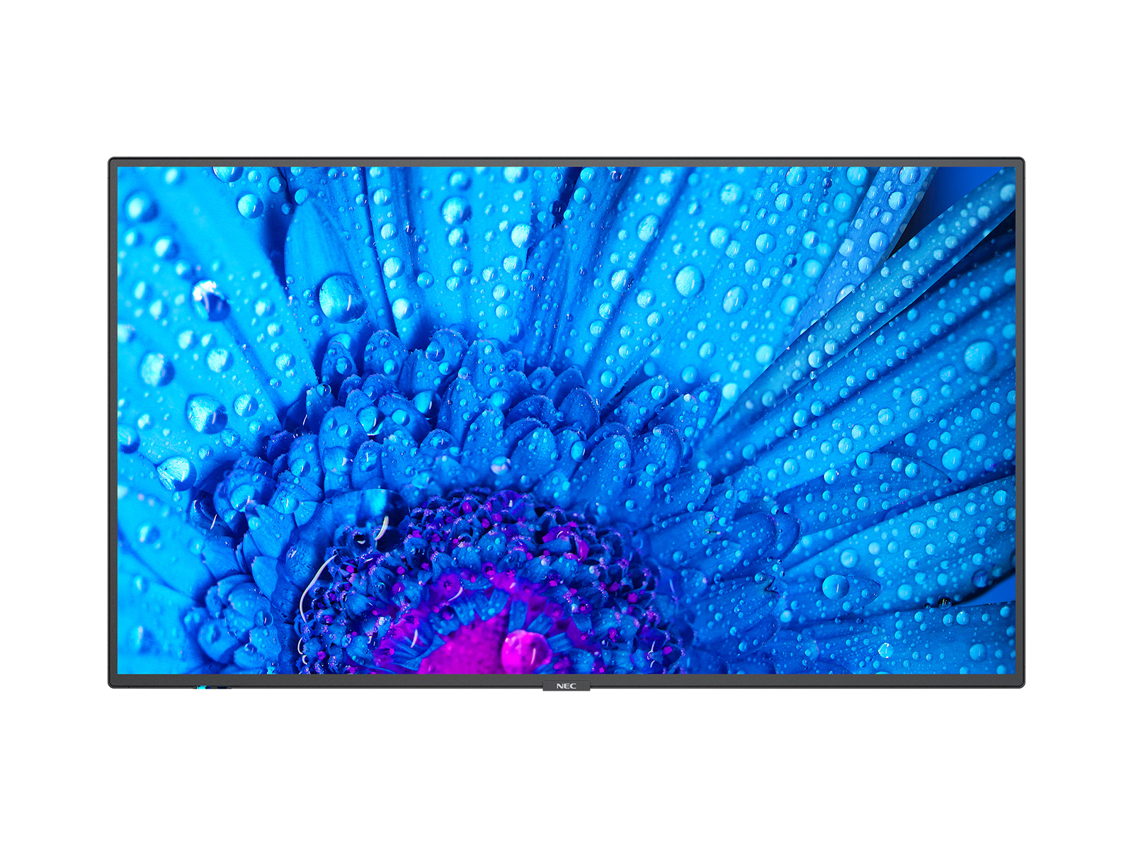 Dalle IPS NEC MultiSync M431 43"