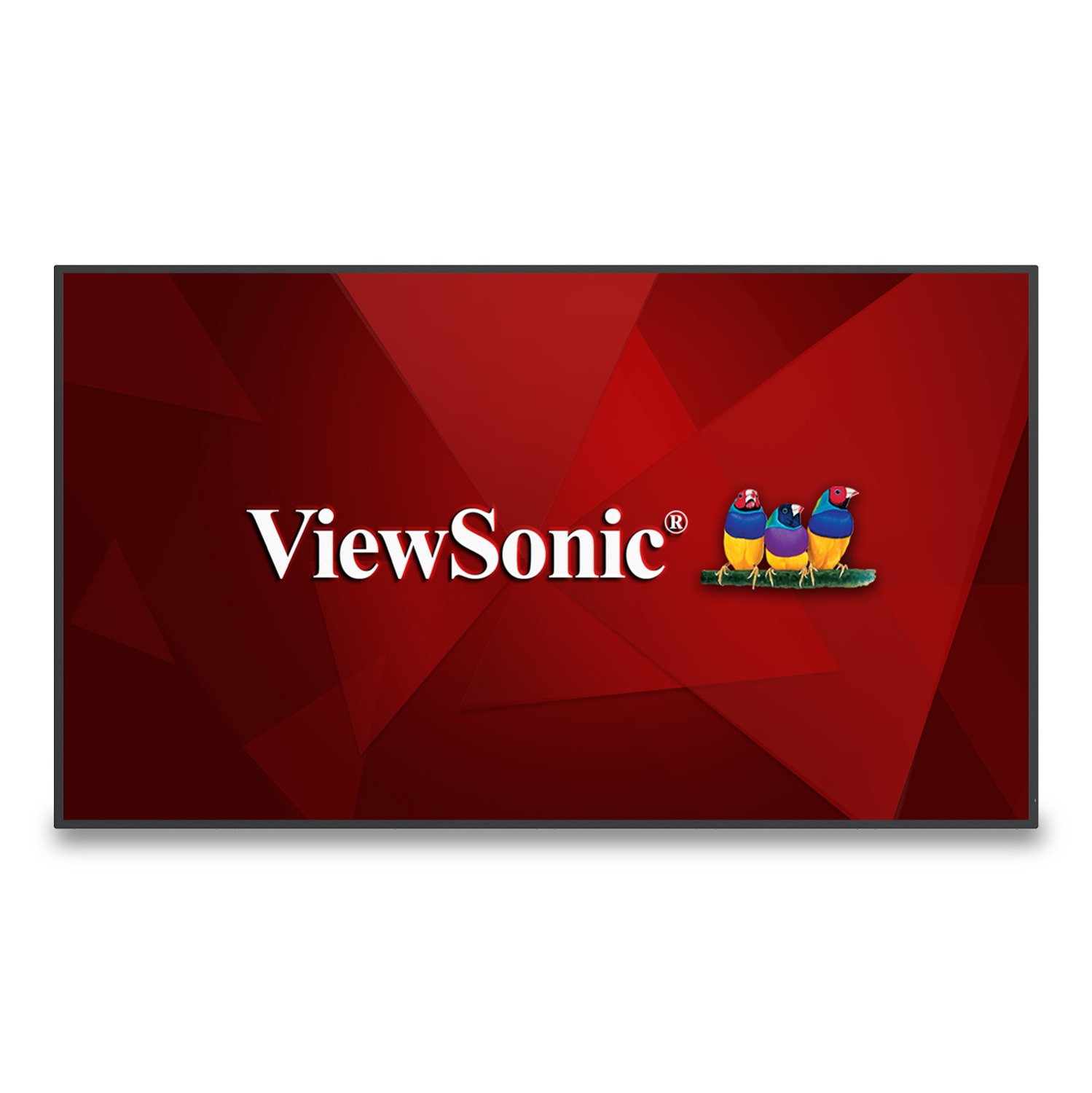 Viewsonic CDE6530, enseigne numérique plate