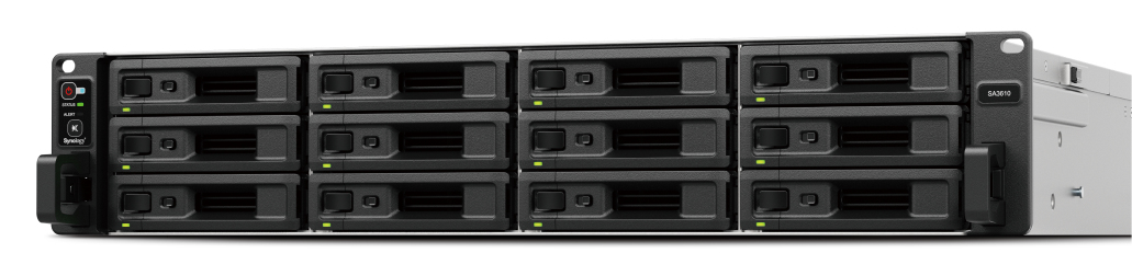 Synology SA3410 - NAS-server - 12 plasser - SA3410