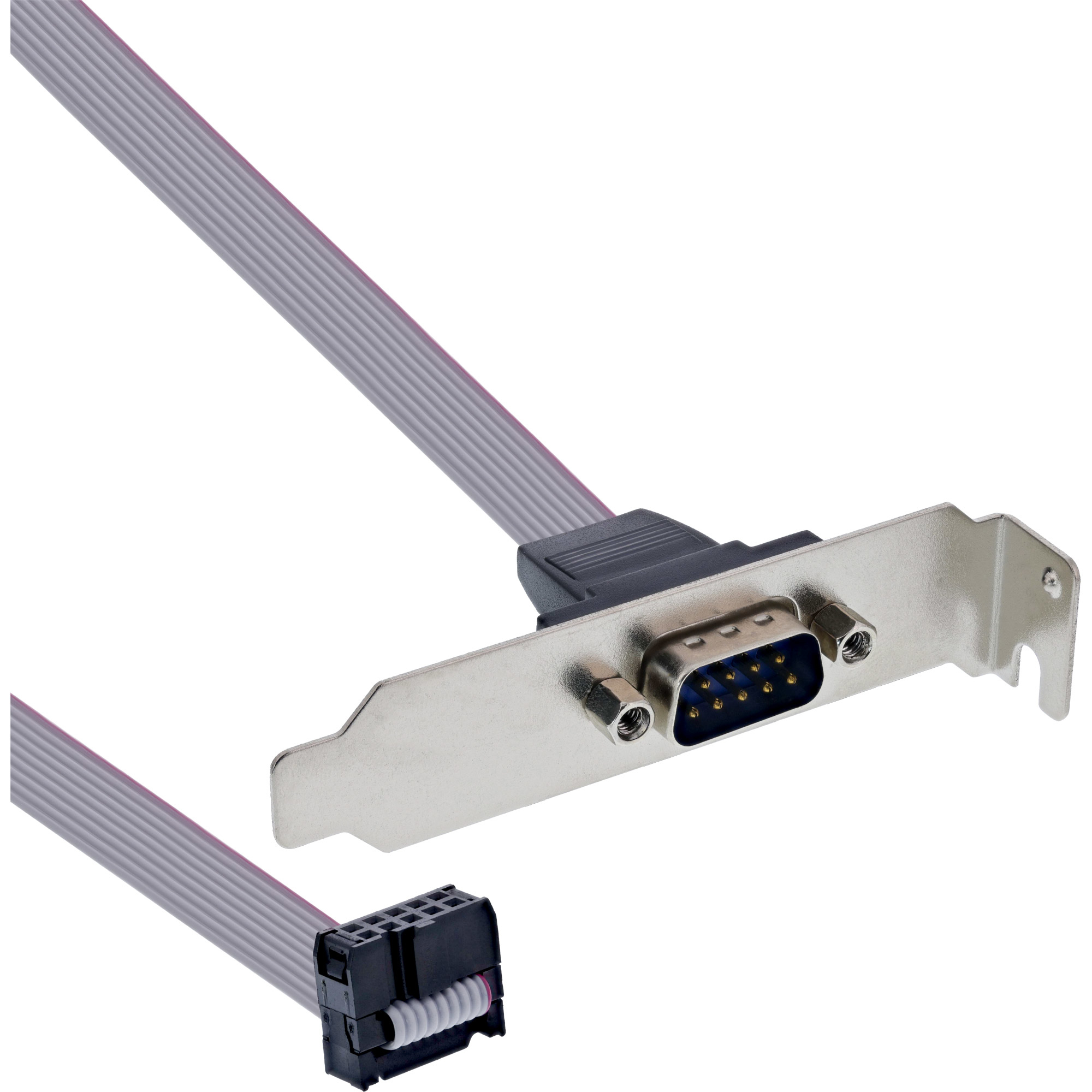 Support de connecteur interne DB9 mâle 10 broches en ligne 0,6 m