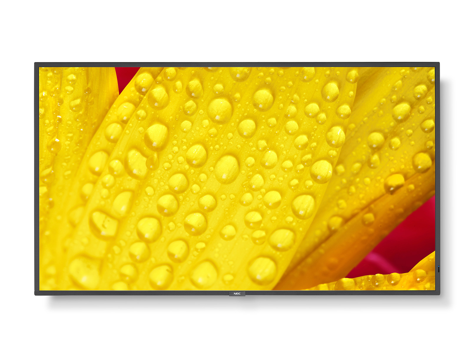 Panneau VA NEC MultiSync ME501 50"