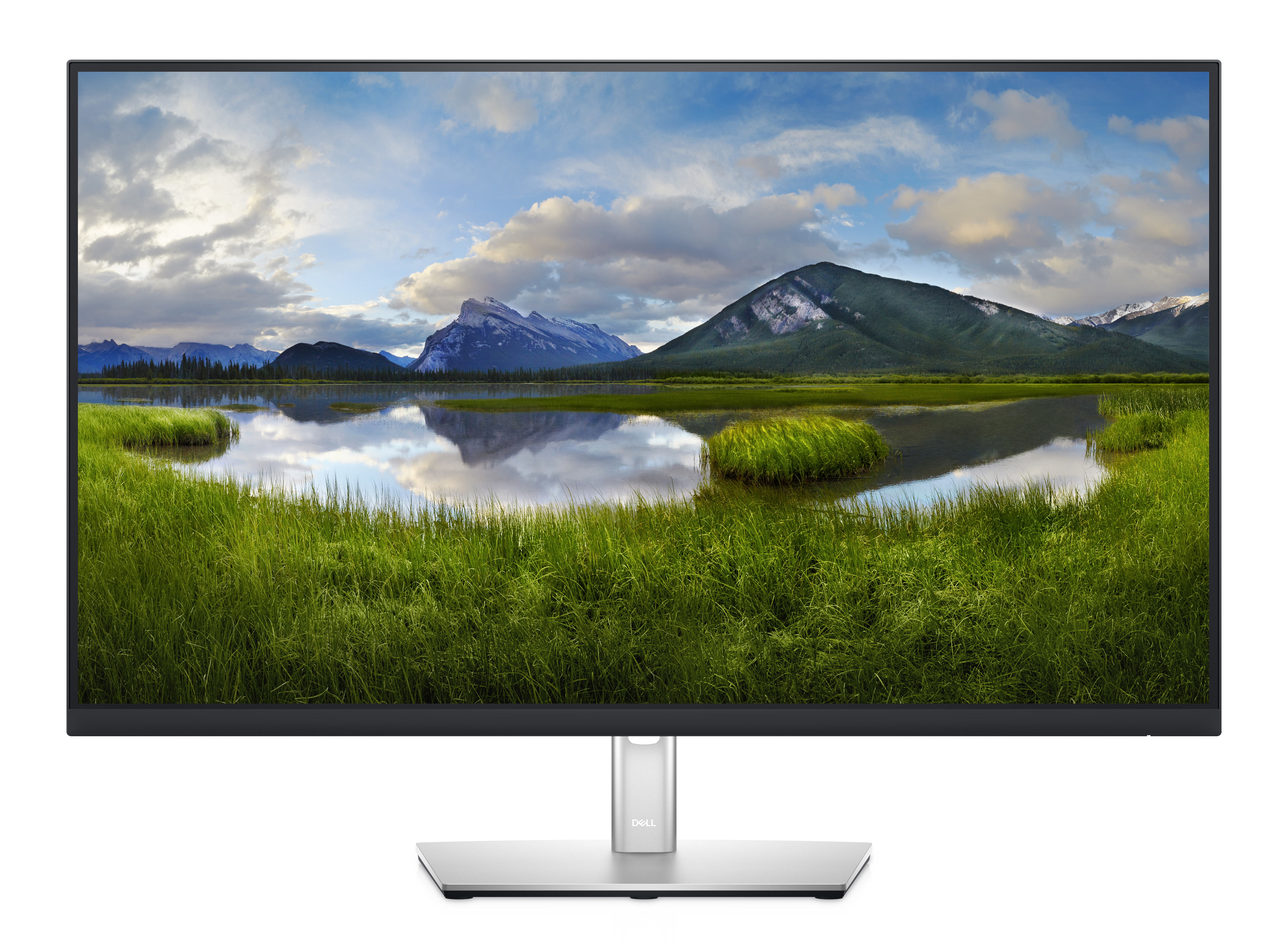 P3221D - Moniteur LED - 80,098 cm (31,5") (31,5" d'affichage) - 2560 x 1440 QHD à 60 Hz - IPS - 350 cd/m² - 1000:1 - 5 ms - HDMI, DisplayPort - Noir [Classe énergétique E]