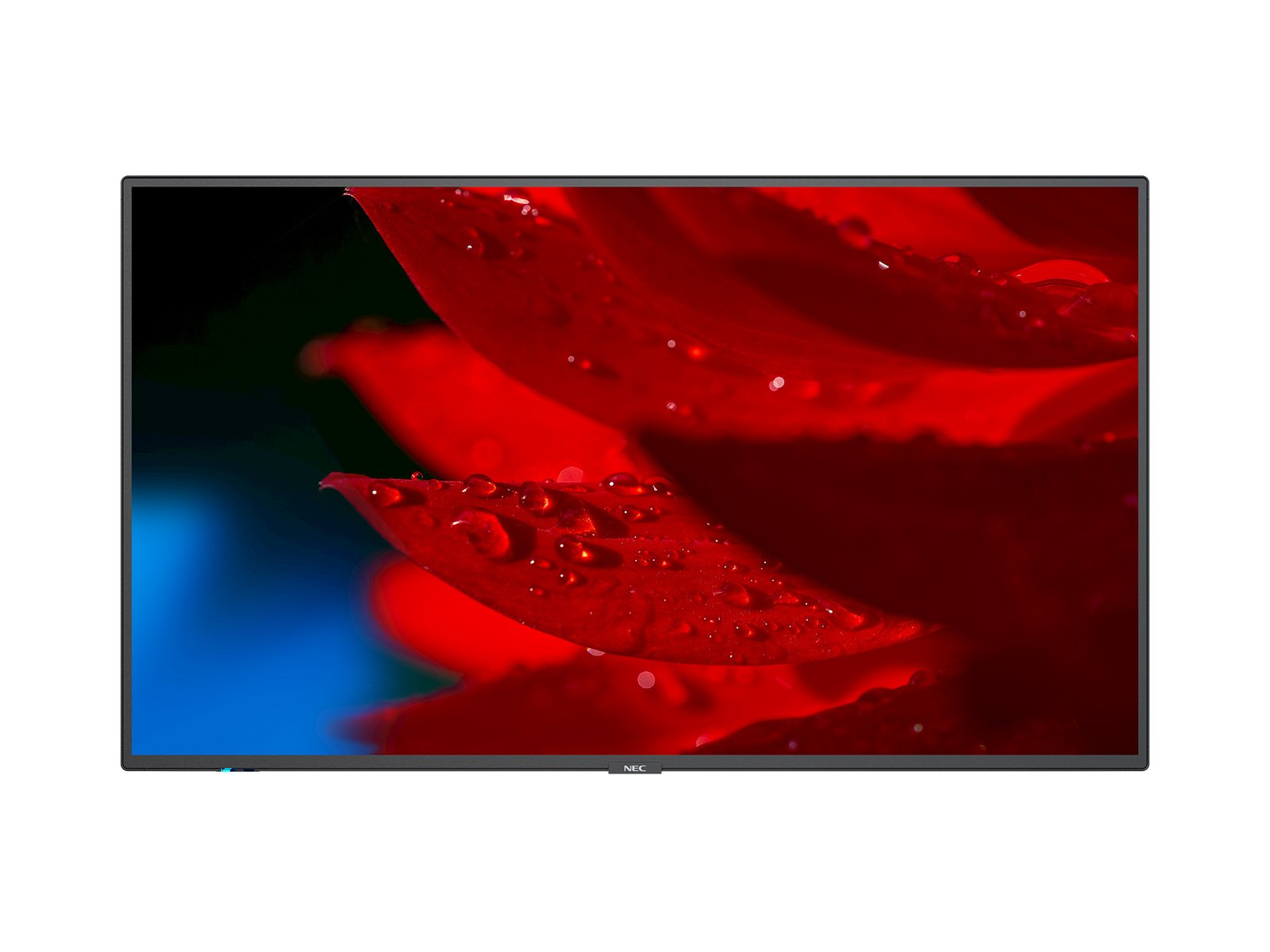 Dalle IPS NEC MultiSync MA431 43"