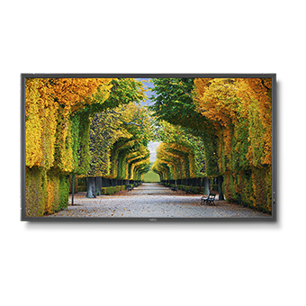 Panneau LED NEC MultiSync X554HB 55"