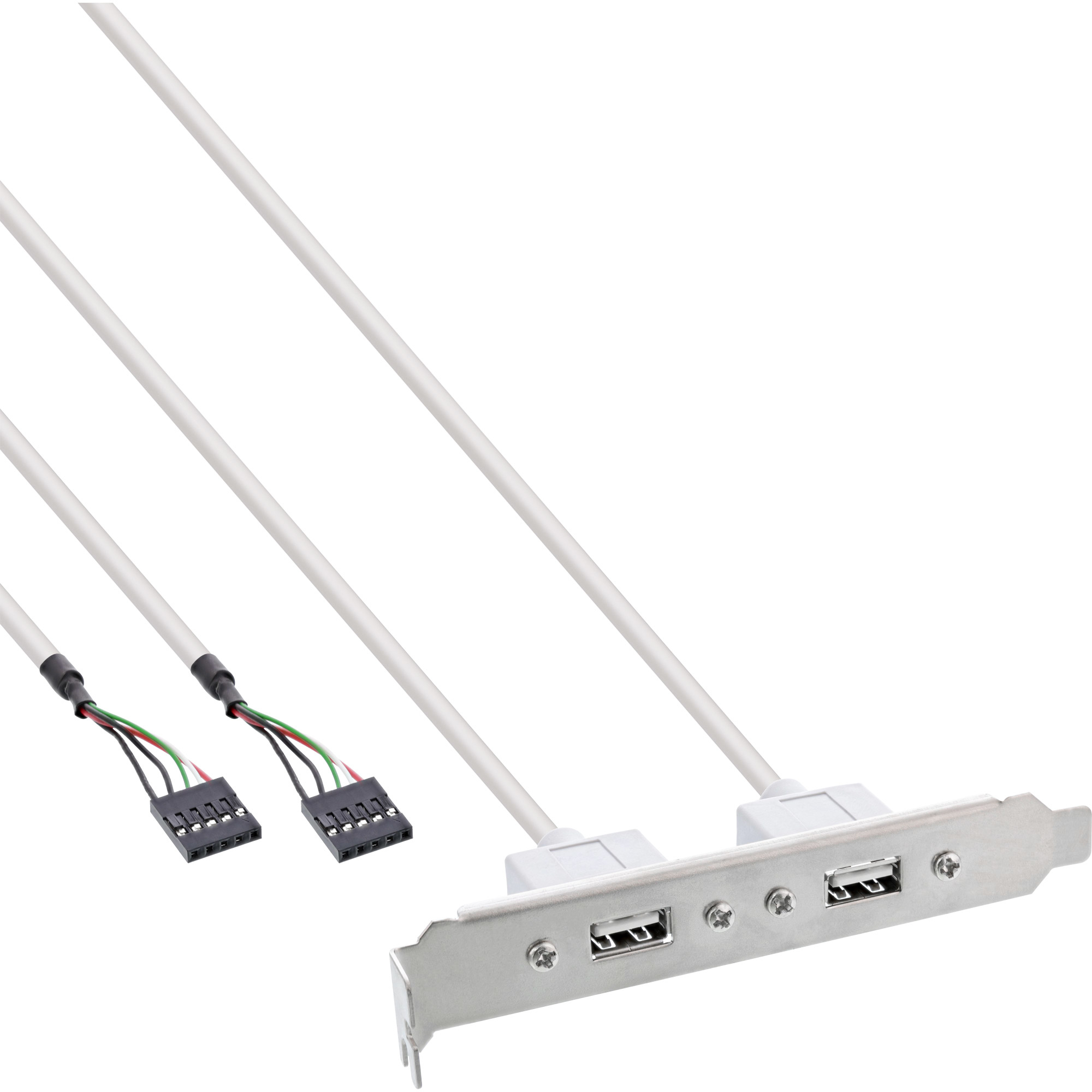 Support de connecteur interne à double port USB 2.0 InLine 0,3 m