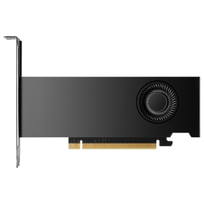 NVIDIA Rtx 2000 Ada Gddr6 Retail - Graphics card - PCI-Express