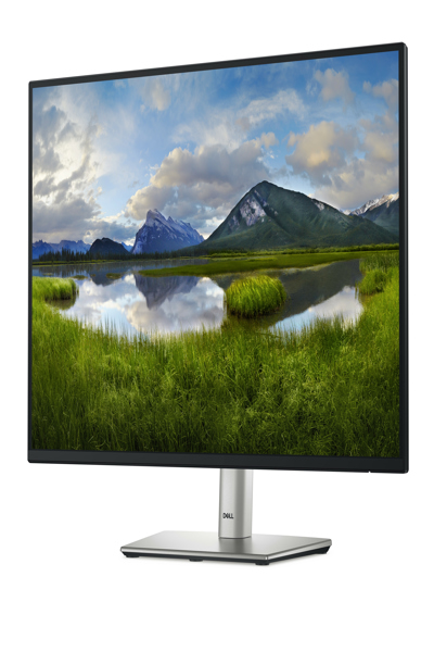 Dell P2425 24" LED-skärm - DELL-P2425