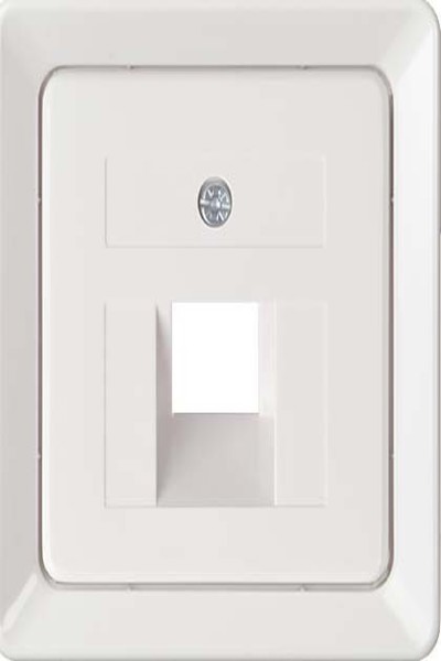 Schneider Electric 206404 Plaque centrale pour 1 x RJ45