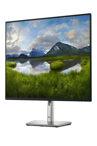 Dell P2725HE 27" LED-skärm - 210-BMJC