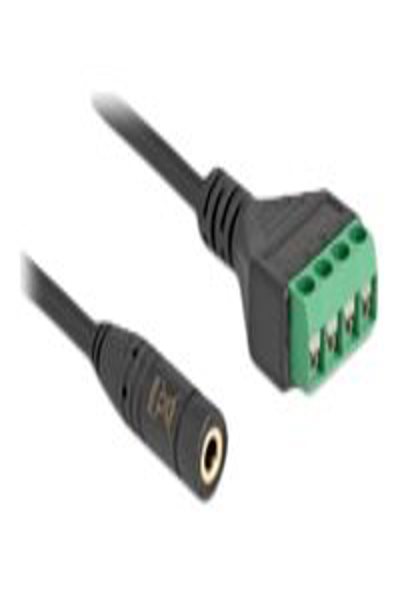 Delock Audio adapter - mini jack (F) to 4 pin terminal block - 66295
