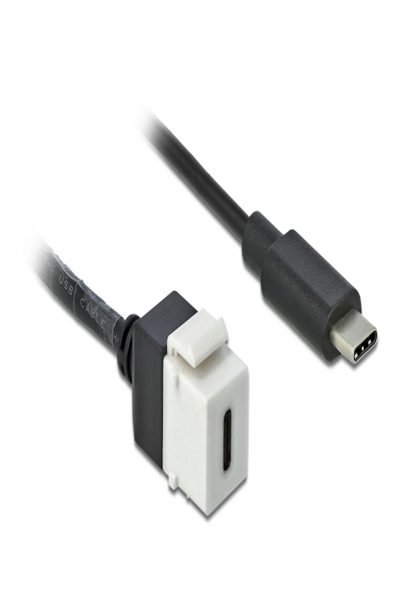 Delock Keystone-modul - USB-kabel - 86399
