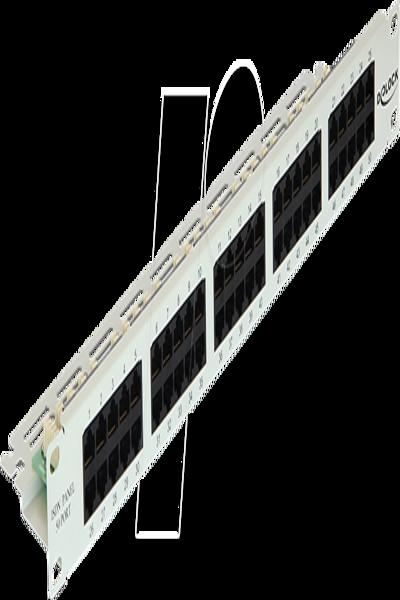 Delock Patchpanel - CAT 3 - RJ-45 X 50 - 43030