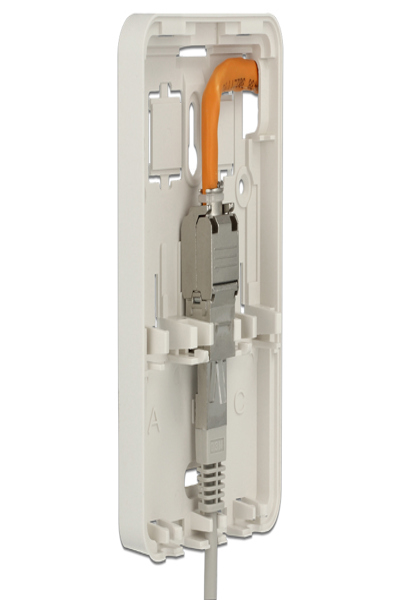 Delock Keystone ytmonterad låda - 86262