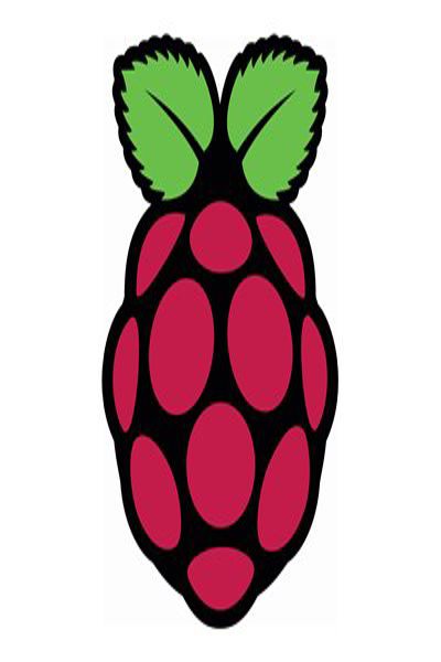 Raspberry Pi 16GB MicroSDHC Card