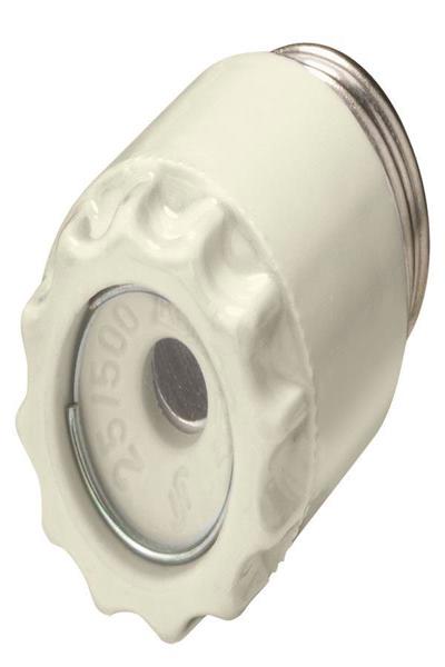 Siemens 5SH112 Diazed Screw Cap 25A