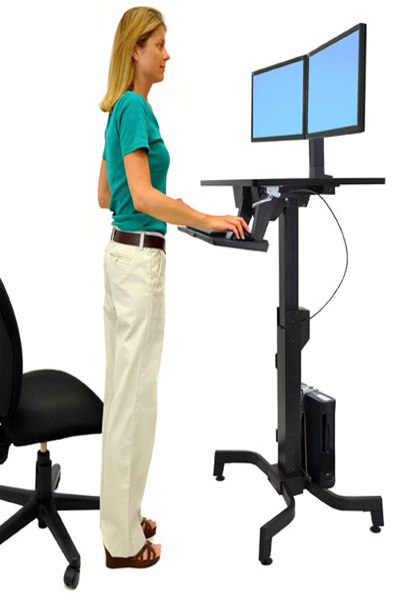 Ergotron WorkFit Dual Monitor Kit Black - 97-934-085