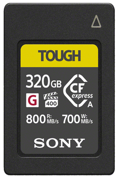 Carte mémoire flash Sony CEA-G320T