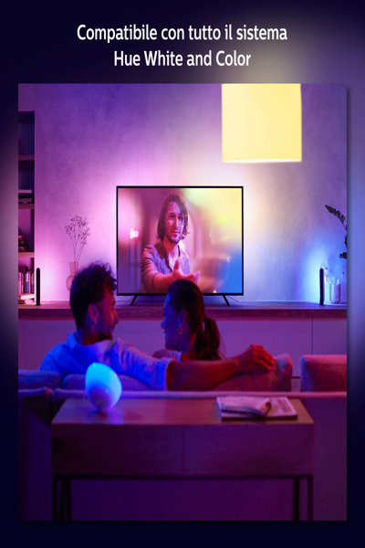 Bande dégradée Philips Hue Play 65" - 929002422801