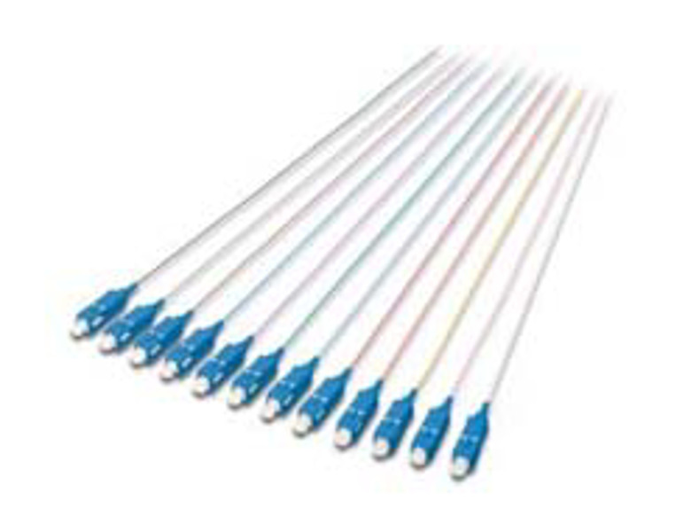 DIGITUS DK-29221-02 Fiber Pigtail Set SC 2m 12st - DK-29221-02