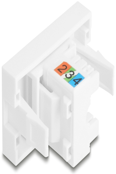 Delock Easy 45 Snap-in Module - 90897