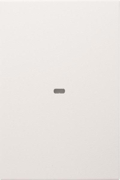 80960299