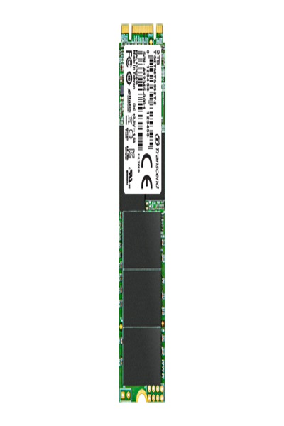 TS256GMTS952T2