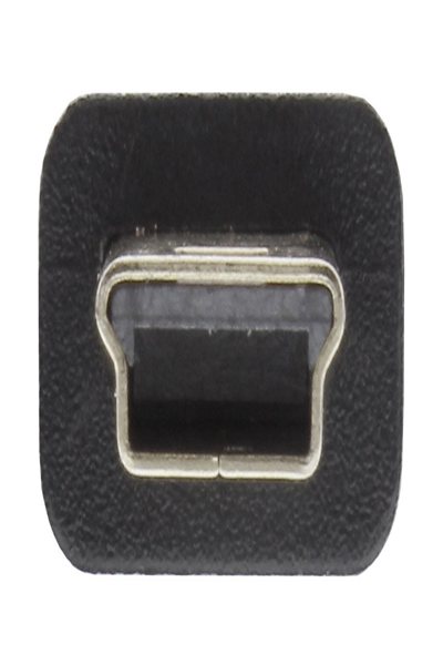 Câble mini USB 2.0 InLine USB Type A mâle / Mini B mâle - 5 broches - noir - 0,3 m