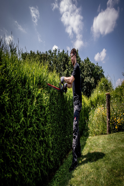 Metabo HS 18 LTX 55, Battery, 18 V, Lithium-Ion (Li-Ion), 2 Ah, 2.6 kg, 198 mm - 601717850