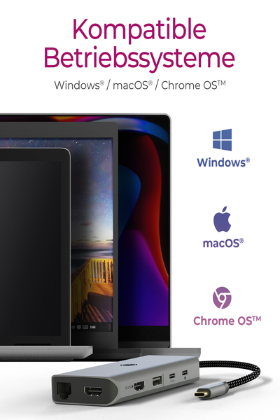 ICY BOX IB-DK4061-CPD USB-C 12-portars dockningsstation - IB-DK4061-CPD