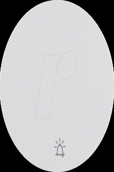 16202069