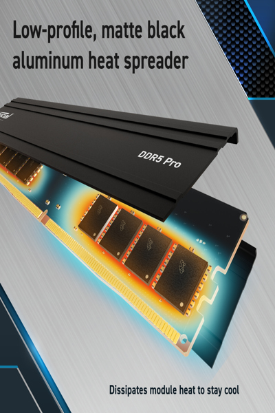 Kit de RAM de jeu Micron Pro 32 Go DDR5-6000