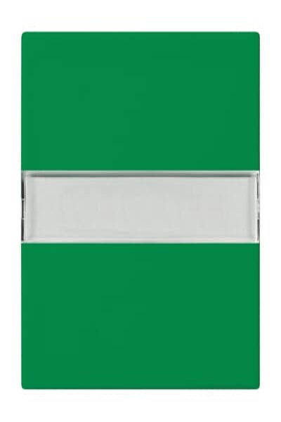 BUSCH JAEGER Wippe grÃƒÂ¼n RAL6032 2510 NLI-13-914