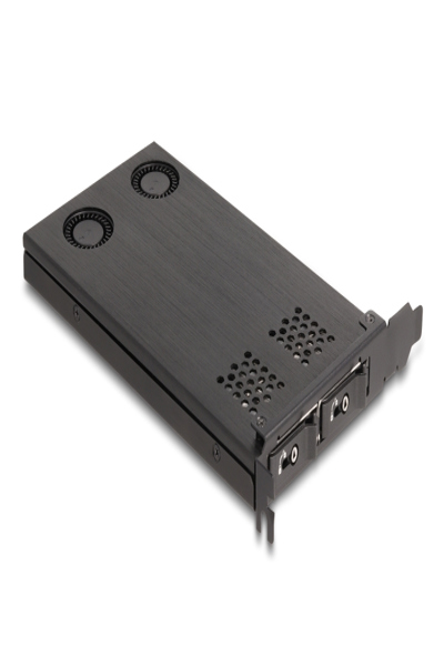 Delock Interface adapter - M.2 - 47042