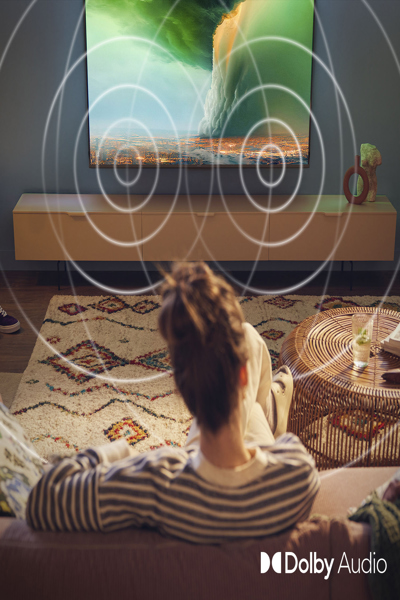 PHILIPS 40PFS6000/12 40" LCD TV - 40PFS6000/12